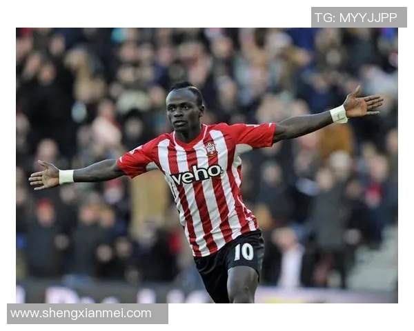 亚亚图雷：从足球场上的巨星到人生旅途中的启示与反思